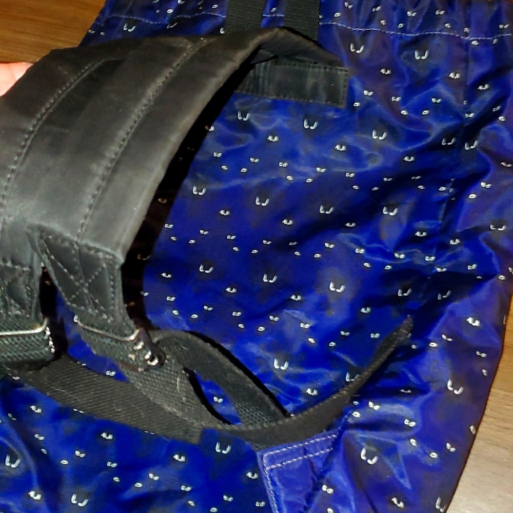 Disney rare Haunted Mansion backpack